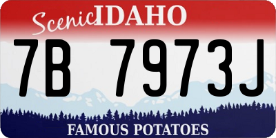 ID license plate 7B7973J