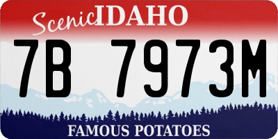 ID license plate 7B7973M