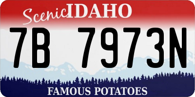 ID license plate 7B7973N