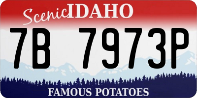 ID license plate 7B7973P