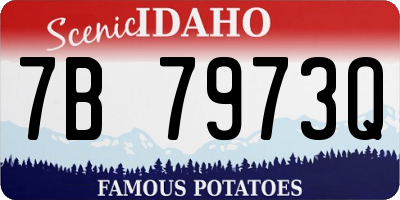 ID license plate 7B7973Q