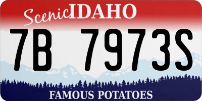 ID license plate 7B7973S