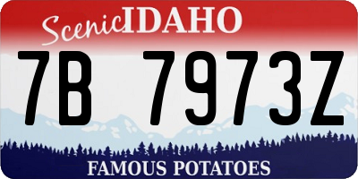 ID license plate 7B7973Z