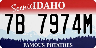 ID license plate 7B7974M