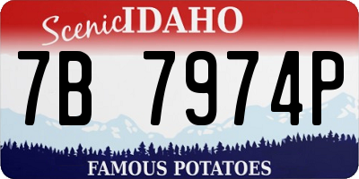 ID license plate 7B7974P