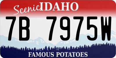ID license plate 7B7975W