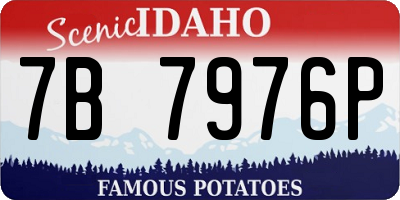 ID license plate 7B7976P