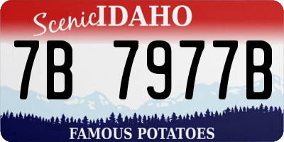ID license plate 7B7977B