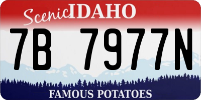 ID license plate 7B7977N