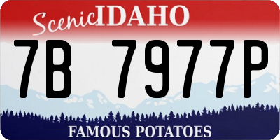 ID license plate 7B7977P
