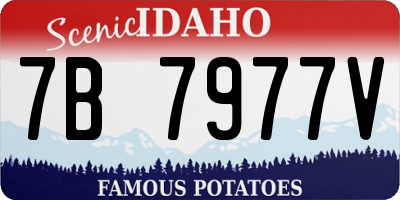 ID license plate 7B7977V