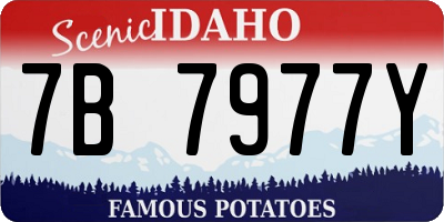 ID license plate 7B7977Y