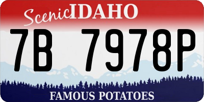 ID license plate 7B7978P