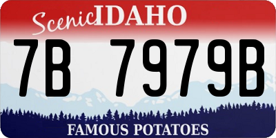 ID license plate 7B7979B
