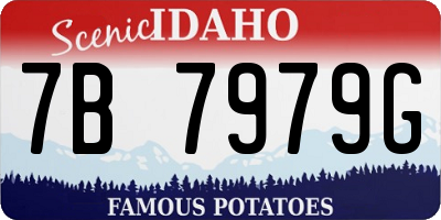 ID license plate 7B7979G