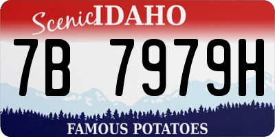 ID license plate 7B7979H