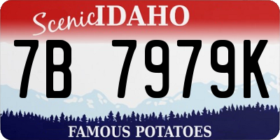 ID license plate 7B7979K