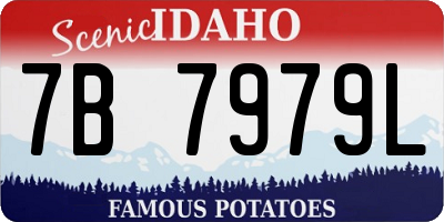 ID license plate 7B7979L