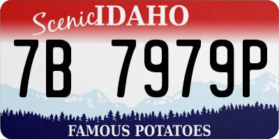 ID license plate 7B7979P