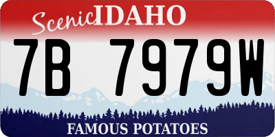 ID license plate 7B7979W