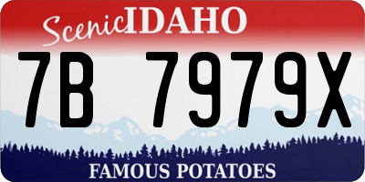 ID license plate 7B7979X