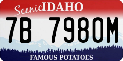 ID license plate 7B7980M