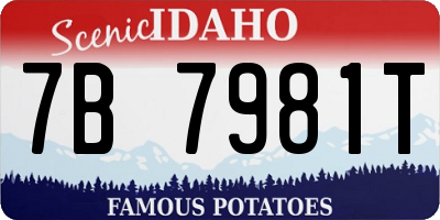 ID license plate 7B7981T