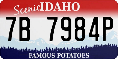 ID license plate 7B7984P