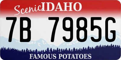 ID license plate 7B7985G