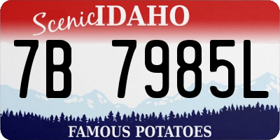 ID license plate 7B7985L