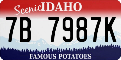 ID license plate 7B7987K