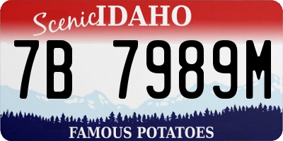 ID license plate 7B7989M