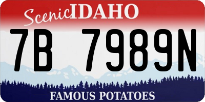 ID license plate 7B7989N