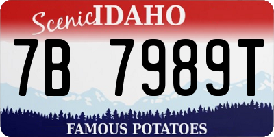 ID license plate 7B7989T