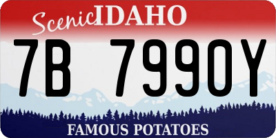 ID license plate 7B7990Y