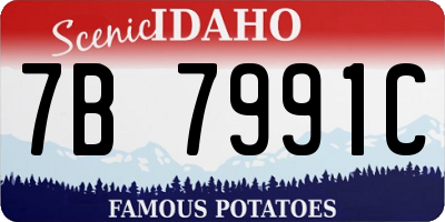 ID license plate 7B7991C