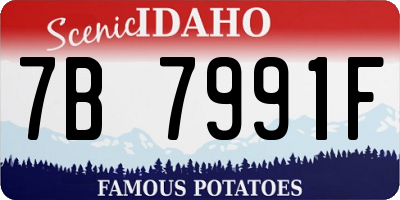 ID license plate 7B7991F