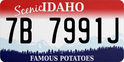 ID license plate 7B7991J