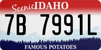 ID license plate 7B7991L