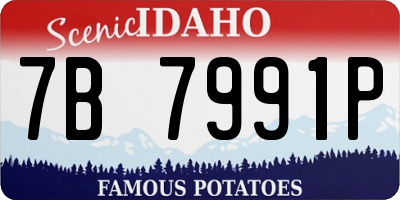 ID license plate 7B7991P