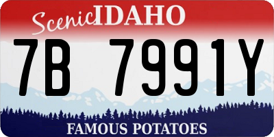ID license plate 7B7991Y