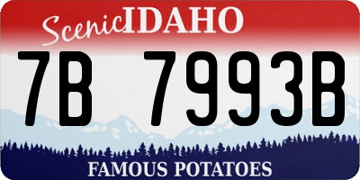 ID license plate 7B7993B