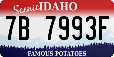 ID license plate 7B7993F