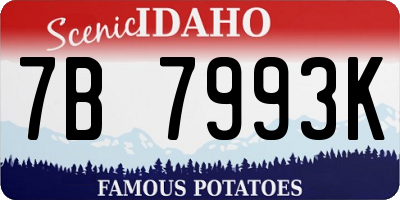 ID license plate 7B7993K