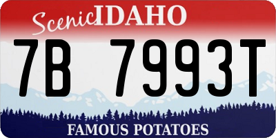 ID license plate 7B7993T