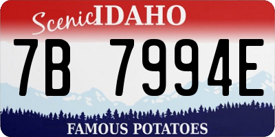 ID license plate 7B7994E