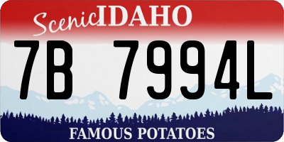 ID license plate 7B7994L