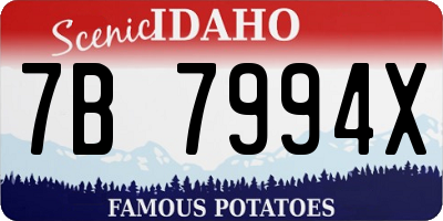 ID license plate 7B7994X