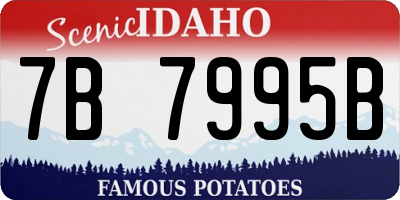 ID license plate 7B7995B