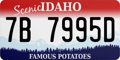 ID license plate 7B7995D